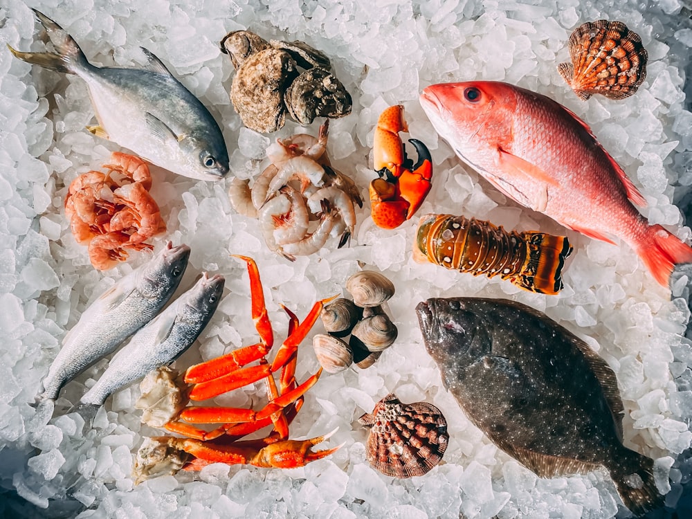 Selección de mariscos al natural